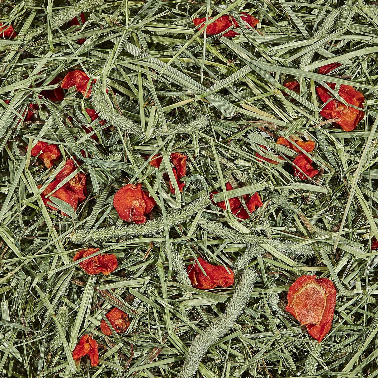 Heno Timothy Plus de Kaytee, con zanahoria, 48 onzas, estándar