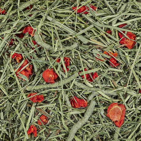 Heno Timothy Plus de Kaytee, con zanahoria, 48 onzas, estándar