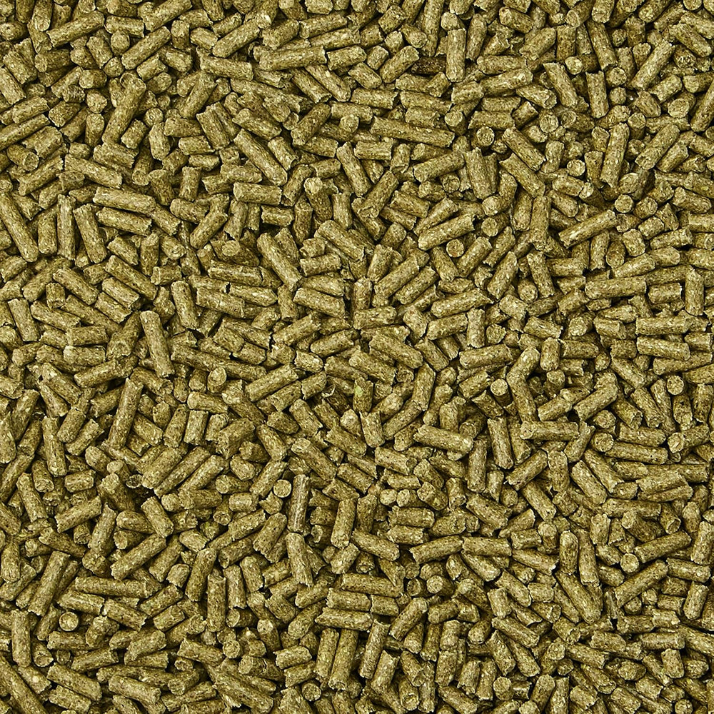 Kaytee Timothy Comida completa para conejos 4.5 lb