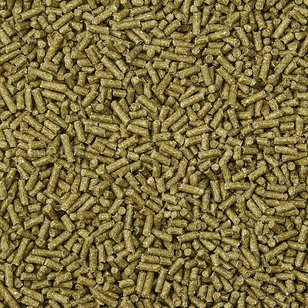 Kaytee Timothy Comida completa para conejos 4.5 lb