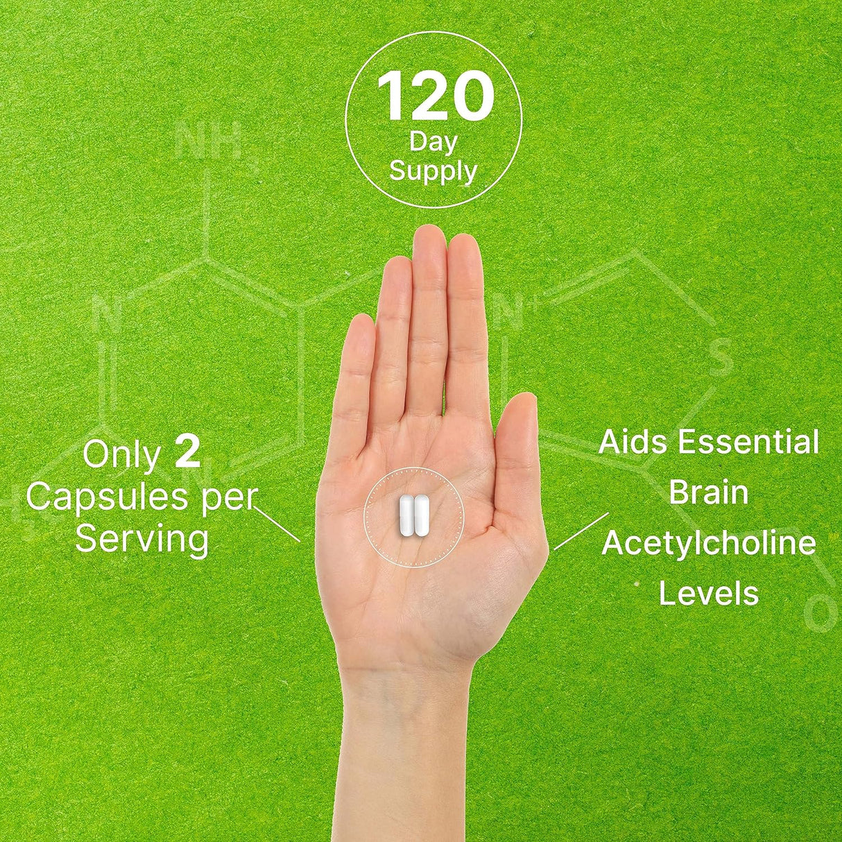 Suplemento Alpha GPC 600mg, Salud Cerebral, Sin OGM, Sin Gluten