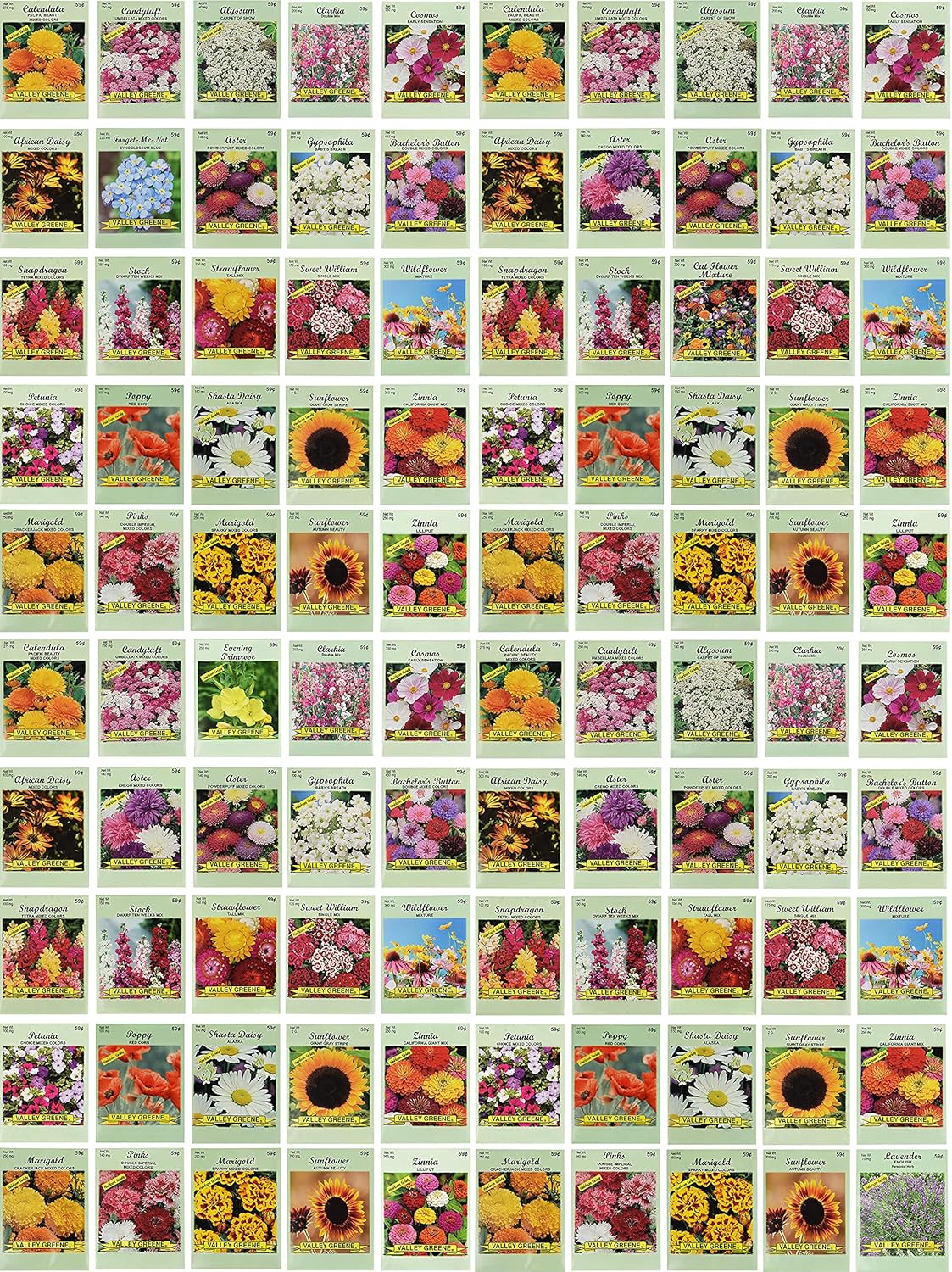 Paquete de 100 Semillas de Flores Valle Verde - Variedades