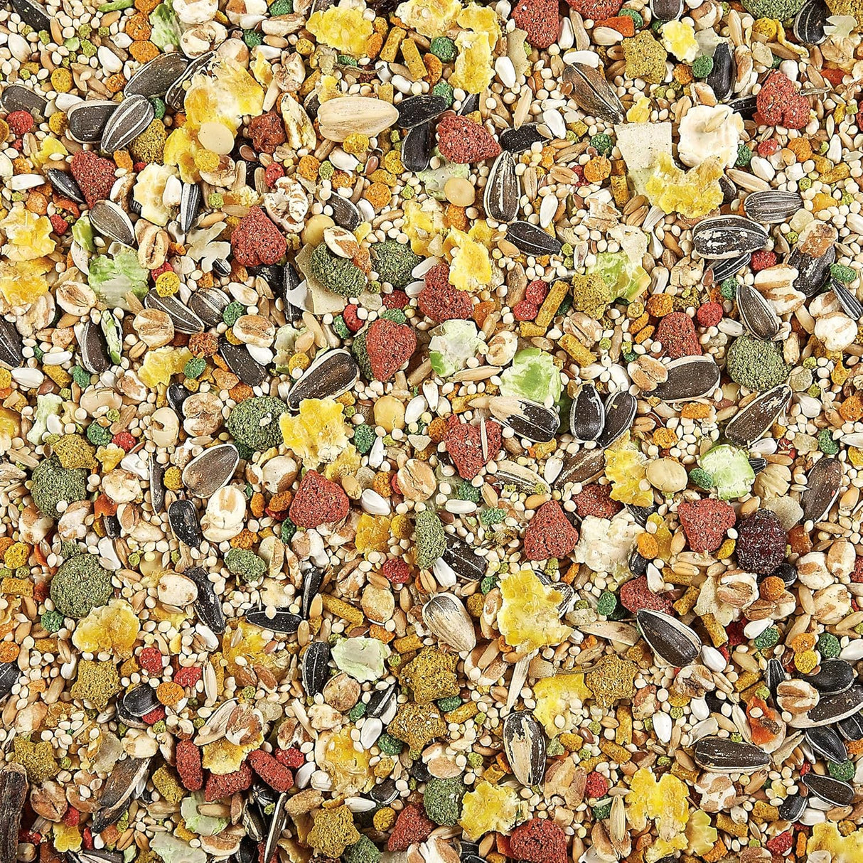 Alimento para cacatúas y tortolitos fortificados vitaminas