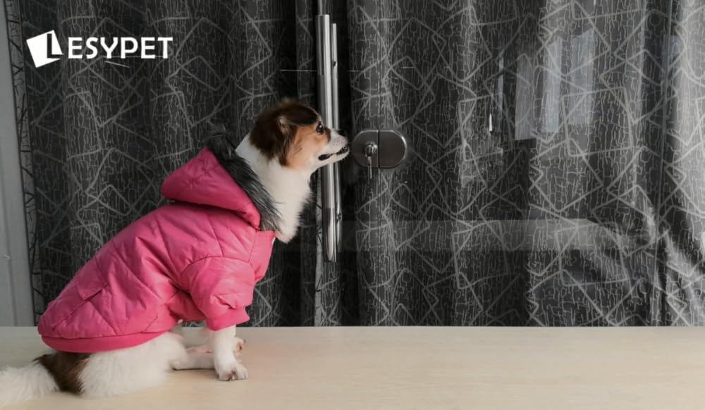 Abrigo de invierno cálido para perro