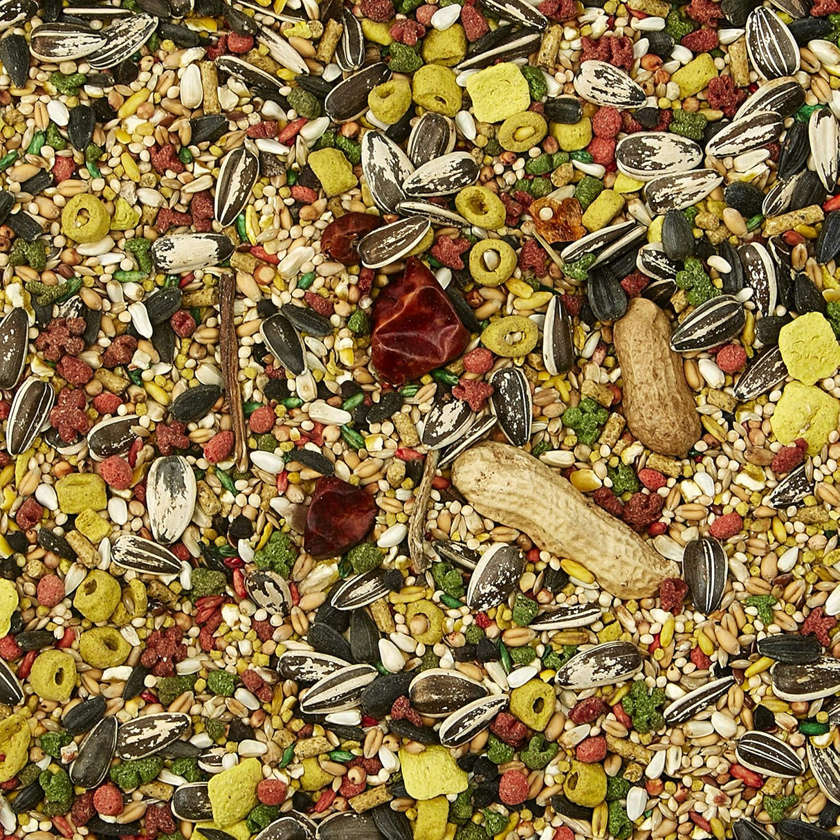 Kaytee Omega 3 para apoyar la salud del cerebro, 3 libras