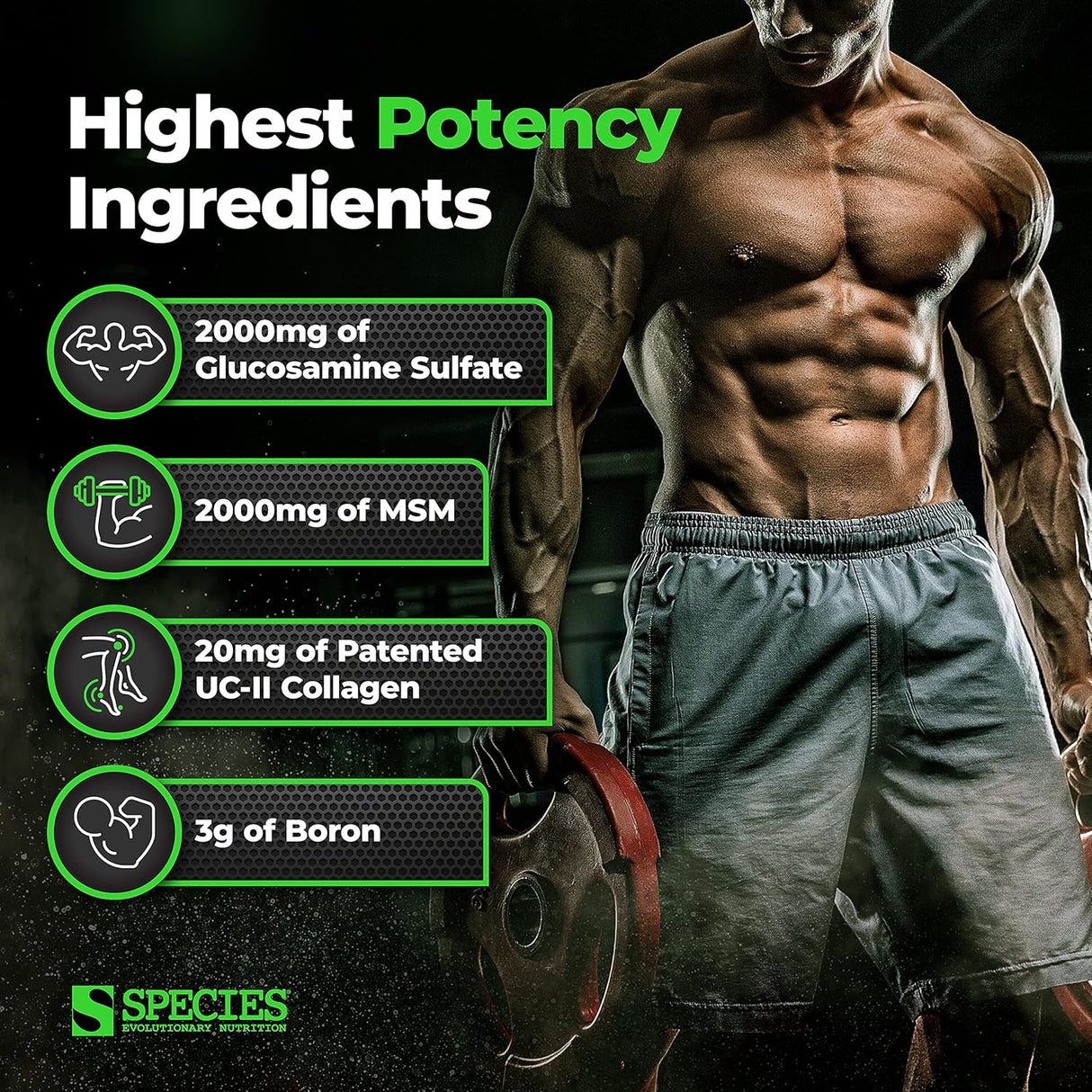 Suplementos Alimenticios de reparación de articulaciones