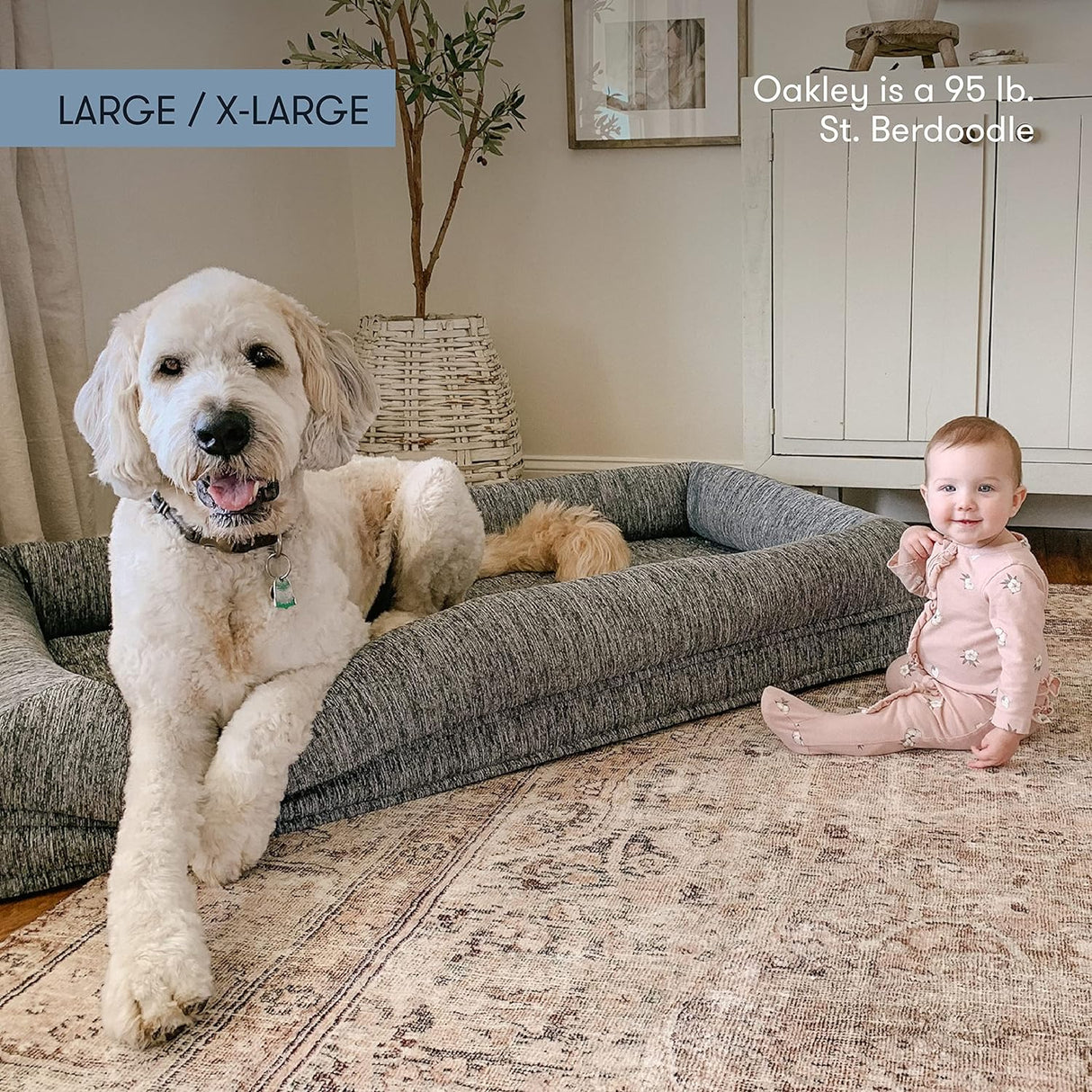 Cama ortopédica para mascotas lavable Newton Baby