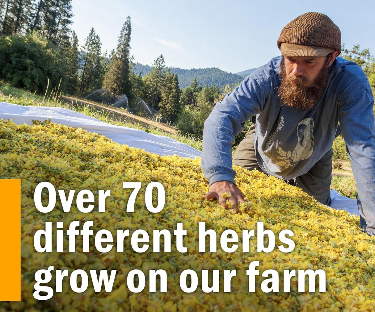 Suplemento Fórmula herbaria con extracto de rodiola 1 onza