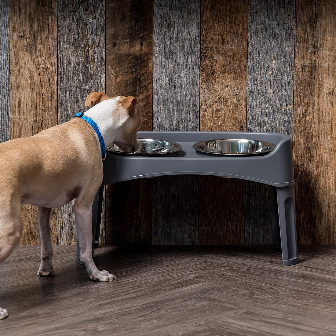 Alimentador elevado de plástico