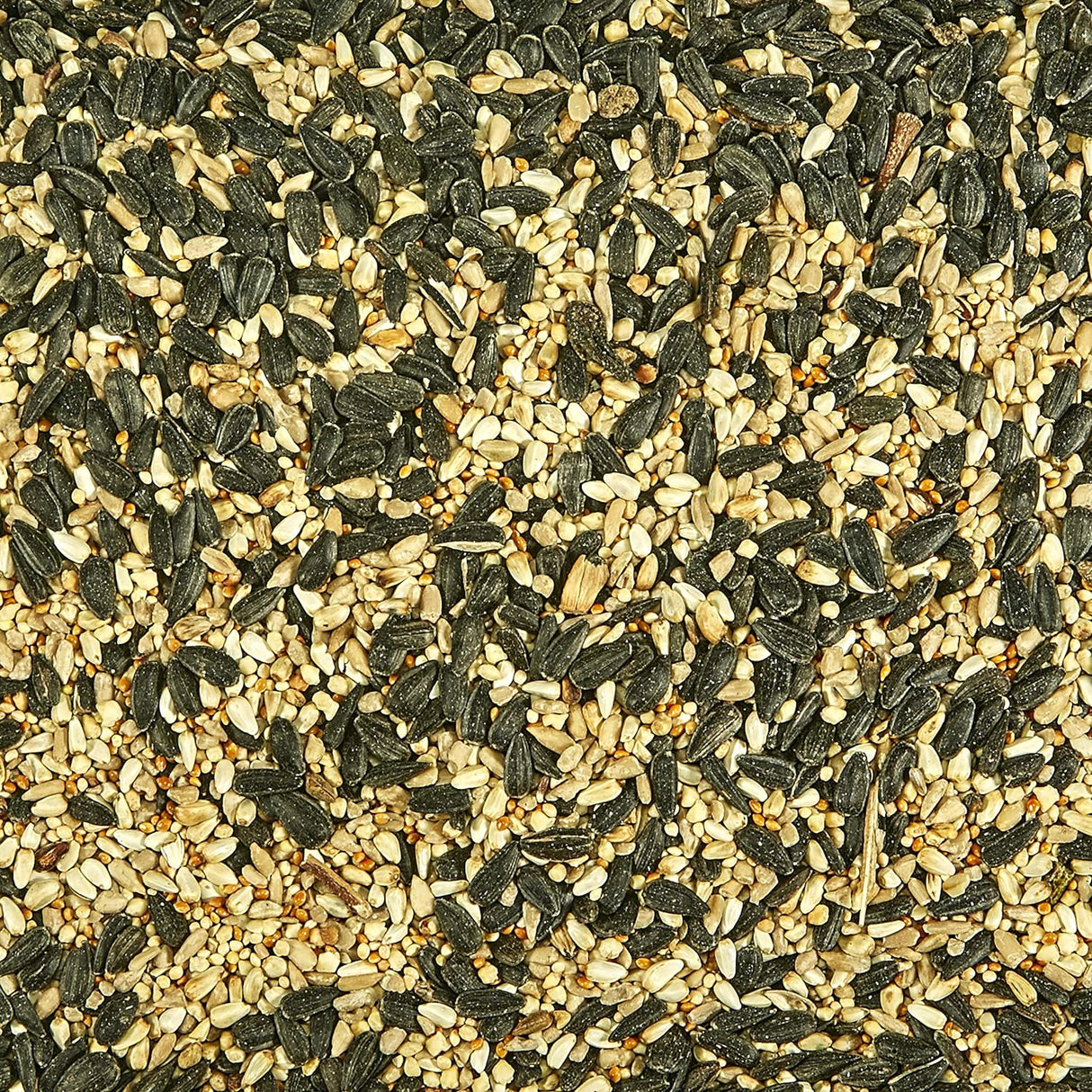 Alimentos Kaytee Southern bolsa de 7 libras