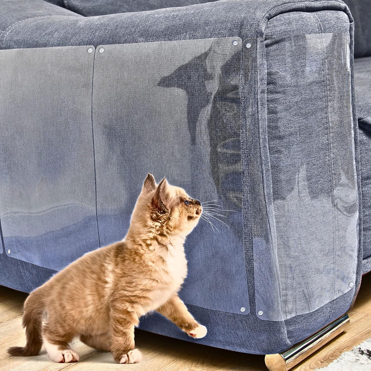 Protector de sofá para gatos paquete de 10