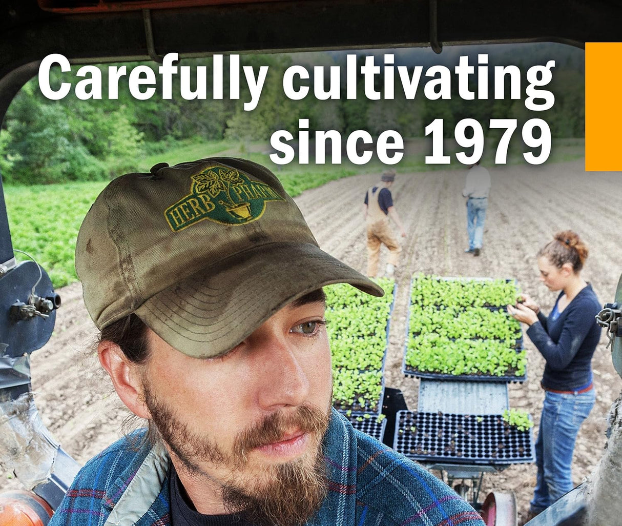 Suplemento Relaxing Sleep Fórmula herbaria valeriana 4 oz