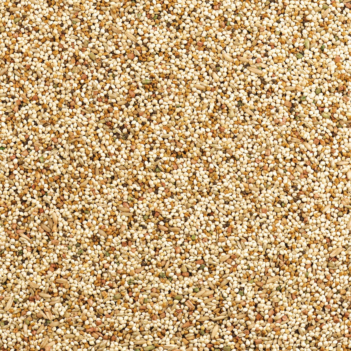 Alimento Wild Harvest Dieta nutricional para pajaro