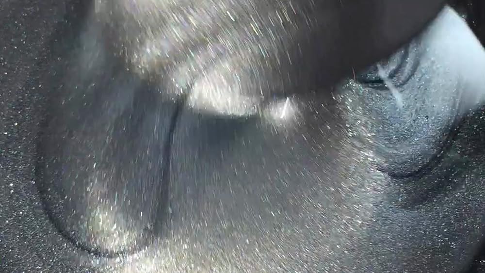 Pintura con aspecto de color metálico