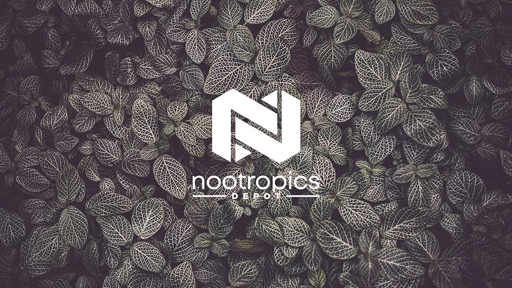 Leones Mane Cápsulas de hongos Extracto 8: 1, 1