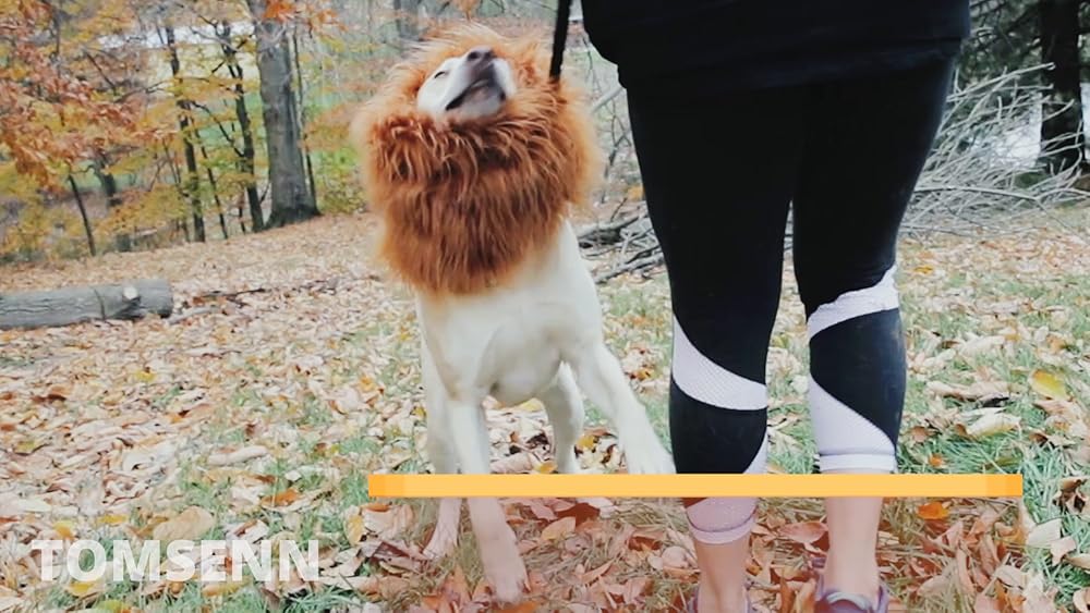 Peluca de melena de león para perro