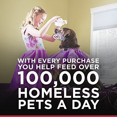 El Alimento Para Mascotas Juventud Vitalidad