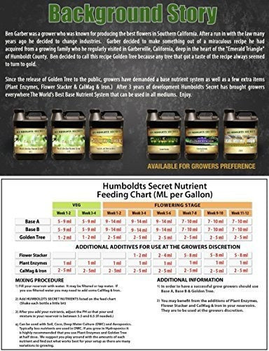 Enzimas Vegetales Y De Raíz