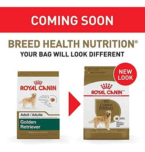 Royal Canin Breed Health Nutrition Golden Retriever Adulto