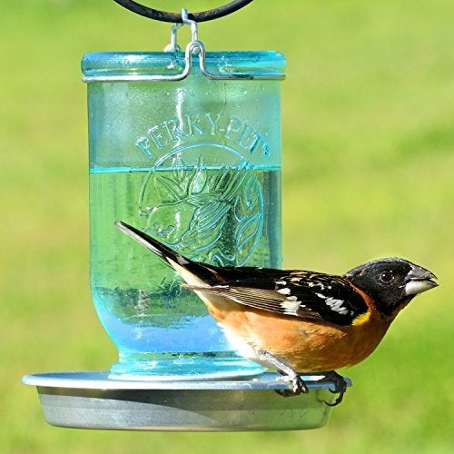 Perky-pet Mason Jar Jarro De Aves Silvestres 783