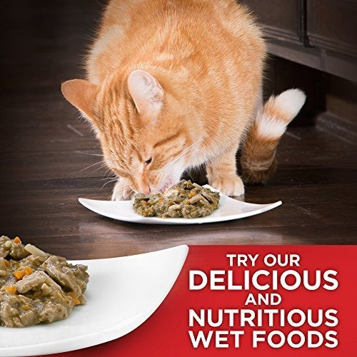 Hill's Science Diet Senior Comida Seca Para Gatos, Adulto