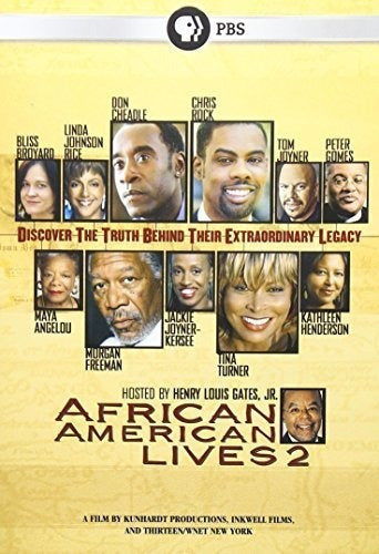 DVD Vidas Afroamericanas 2