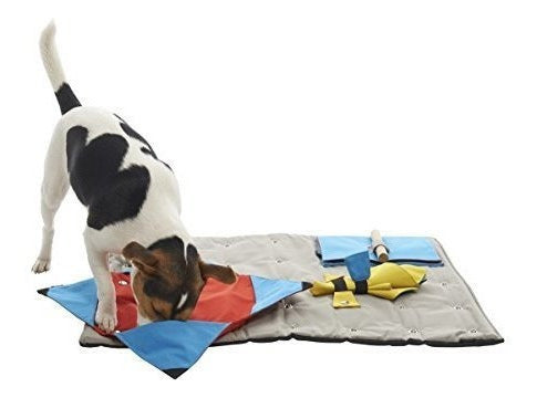 Juguete de iniciación para mascota