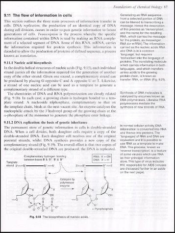 Fundamentos De La Biología Química (oxford Chemistry