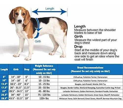 Derby Originals 600d Prenda Impermeable Para Perros Aislada