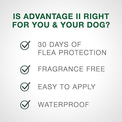 Tratamiento de pulgas para perros pequeños de 3 a 10 libra