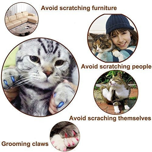 Pet Cat Kitty Garras Suaves Tapas Control