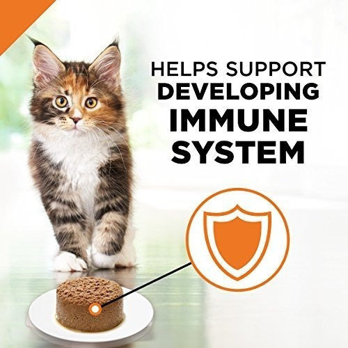 Alimento Para Gatitos Húmedos De Salmón