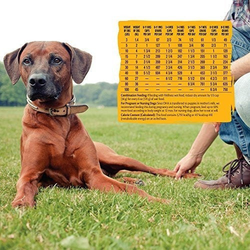 Alimento Seco Para Perros De Grano Natural,