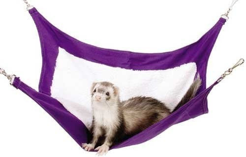 Salón De Ocio Deluxe Marshall Ferret para perros