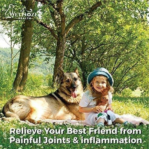 Complejo vitaminico para perros