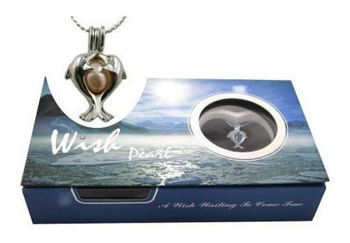 Kit De Collar De Ostras Perla Cultivada De Perla