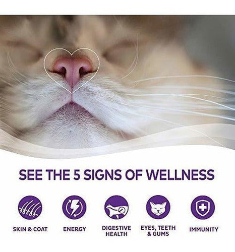 Wellness Complete Health Grano Natural, Comida Para Gatos