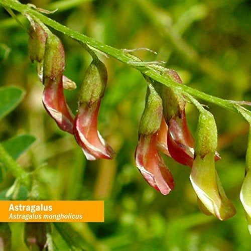 Extracto Orgánico Certificado