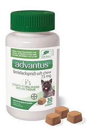 Masticable suave para Perros Pequeños De 4 A 22 Libras