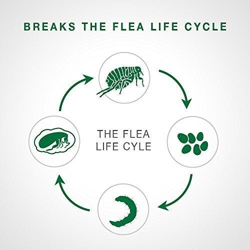 Tratamiento de pulgas para perros pequeños de 3 a 10 libra