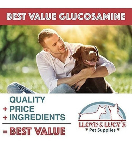 Glucosamina de la mejor calidad para caderas de perros