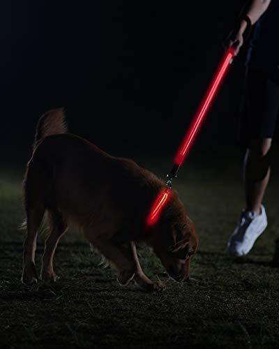 Correa Led Para Perros - Usb Recargable