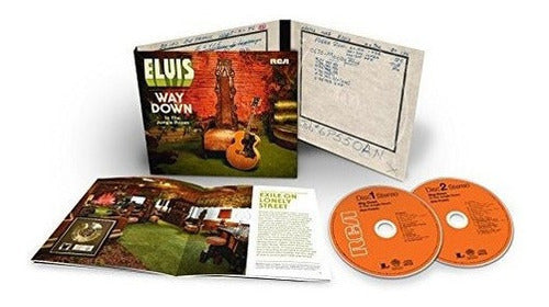 Camino Hacia Abajo En La Sala De La Selva