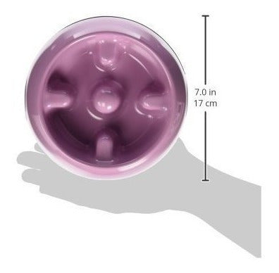 Plato Antiabulso Para Perros Comedero