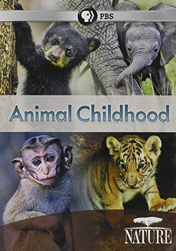 DVD de Naturaleza Infancia Animal