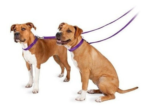 Correa PetSafe para mascota