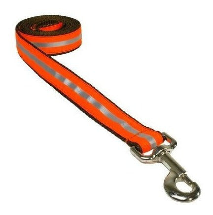 Correa De Perro Naranja Reflectante