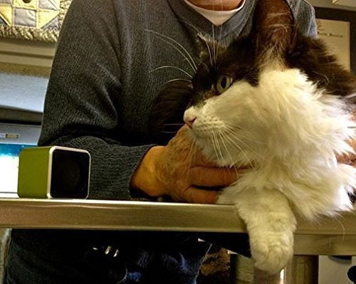 Pet Acoustics Pet Tunes Altavoz Bluetooth Precargado