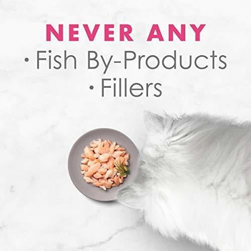 Suplemento alimenticio para gatos