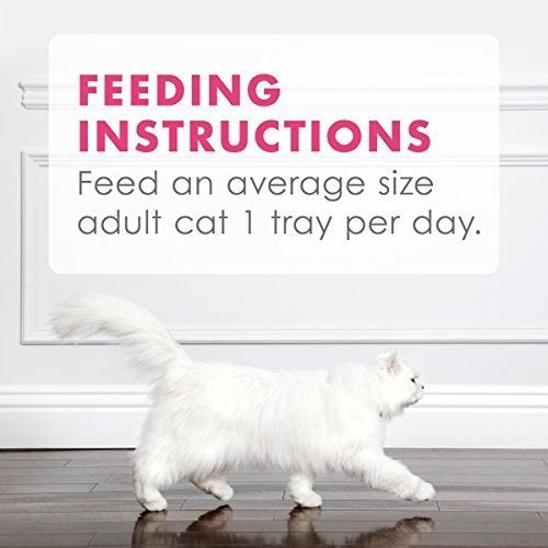 Suplemento alimenticio para gatos